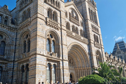 Discover Fossils & Gems at Natural History Museum