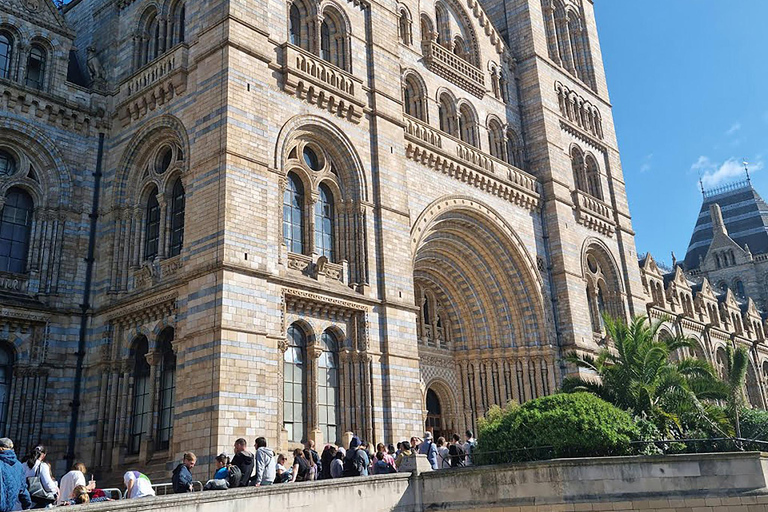 Natural Museum: Diplodocus, Volcanoes, Whale, and Gems