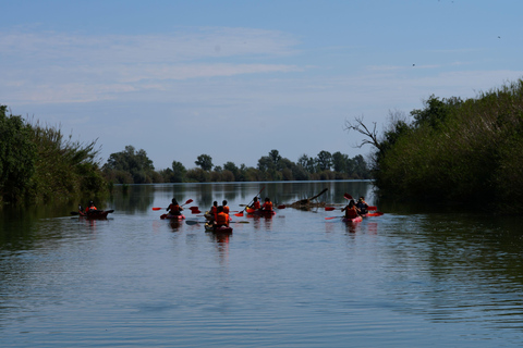 Tarragona (Ebro Delta): Kayak route around the Isla de Gracia Tarragona (Ebro Delta): Kayak route around Gracia Island