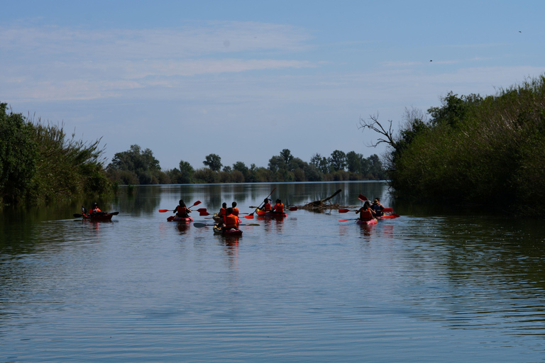 Tarragona (Ebro Delta): Kayak route around the Isla de Gracia Tarragona (Ebro Delta): Kayak route around Gracia Island