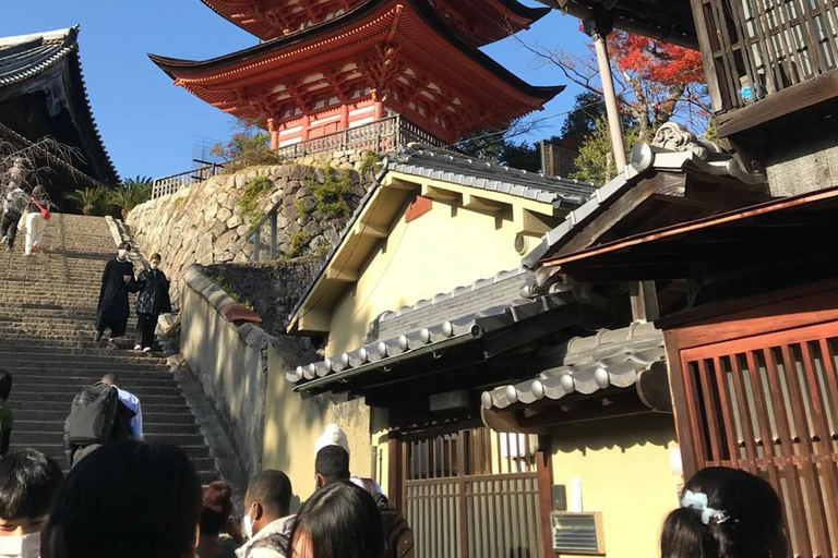 Hiroshima: Excursión en el Parque Conmemorativo de la Paz a la Isla de Miyajima