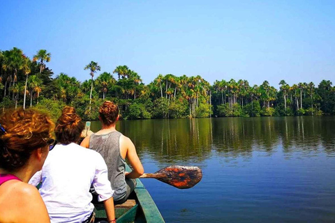 Tambopata: Lake Sandoval och Cayman Safari 2 dagar