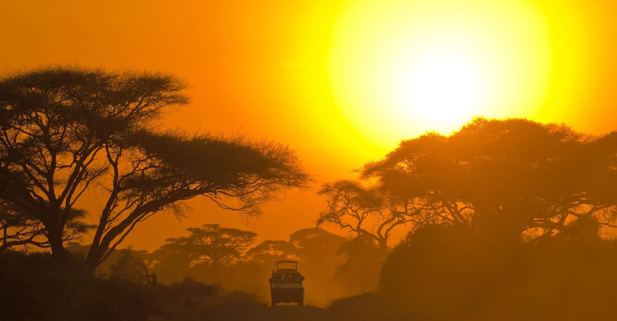 Yala National Park, Private Safari at Dawn or Dusk - Housity