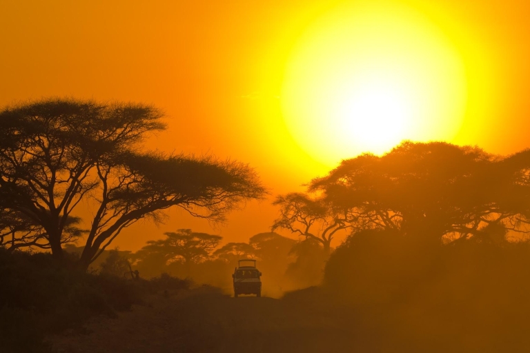 Von Hikkaduwa/Galle/Weligama/Mirissa: Udawalawe Safari Tour
