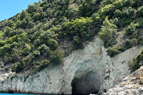 Boottochtjes met glazen boot om schildpadden te spotten