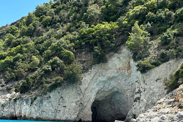 Boottochtjes met glazen boot om schildpadden te spotten