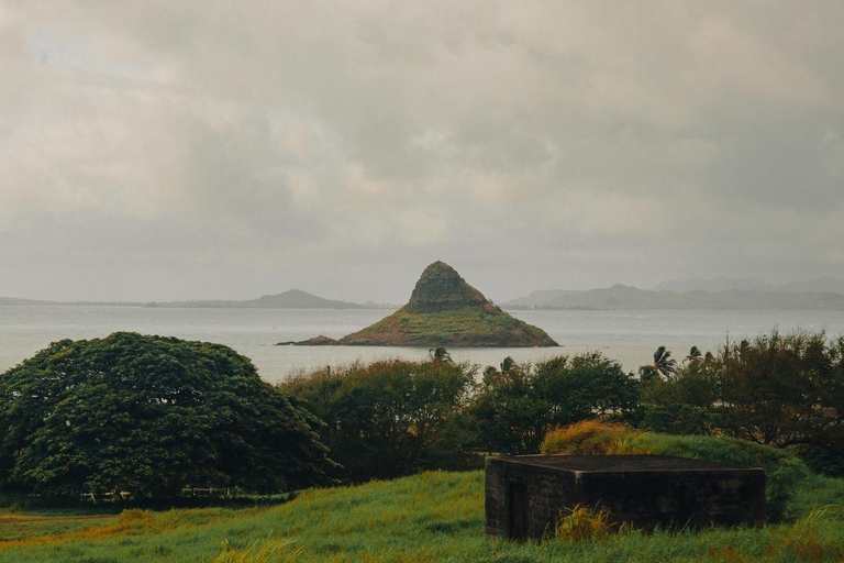 Oahu: Kualoa Open Air Jungle Expedition Tour
