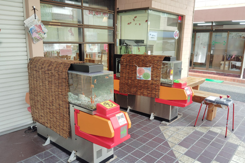 Nara: Descubra o encanto dos peixes dourados de Koriyama - 2 horas