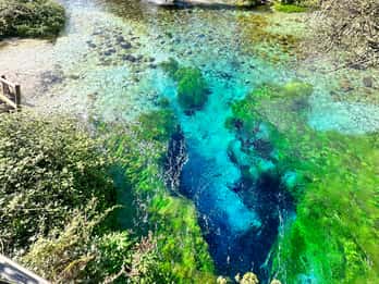 Ksamil o Saranda: Blue Eye & Castello di Lekuresi - Tour di 4 ore