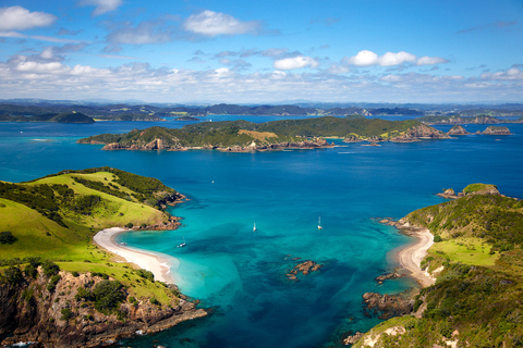 Z Auckland: Całodniowa prywatna wycieczka do Bay of Islands