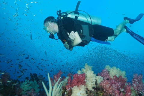 From Phuket: Full-Day Similan Island Scuba Diving Day Trip