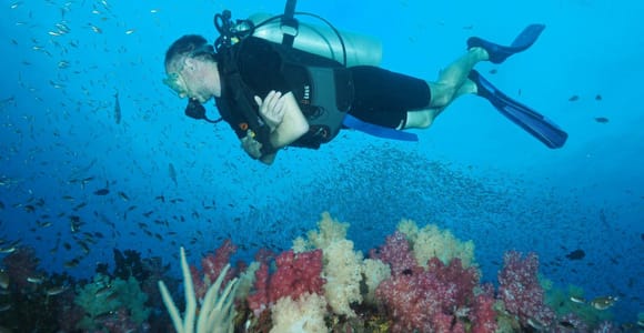 From Phuket: Full-Day Similan Island Scuba Diving Day Trip