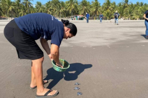 Barra de Santiago: Turtle Release Experience & Beach