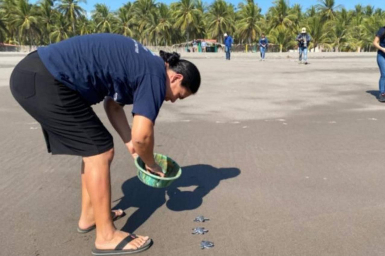 Barra de Santiago: Turtle Release Experience & Beach