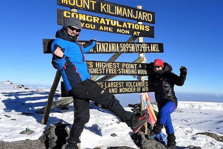Moshi: 9-Day Kilimanjaro Climb the Lemosho Route