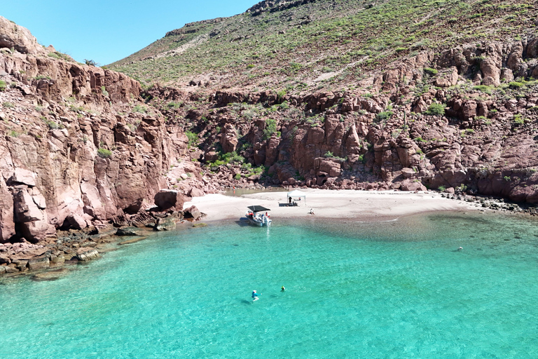 Espiritu Santo Island: Snorkeling Sea Lion Adventure