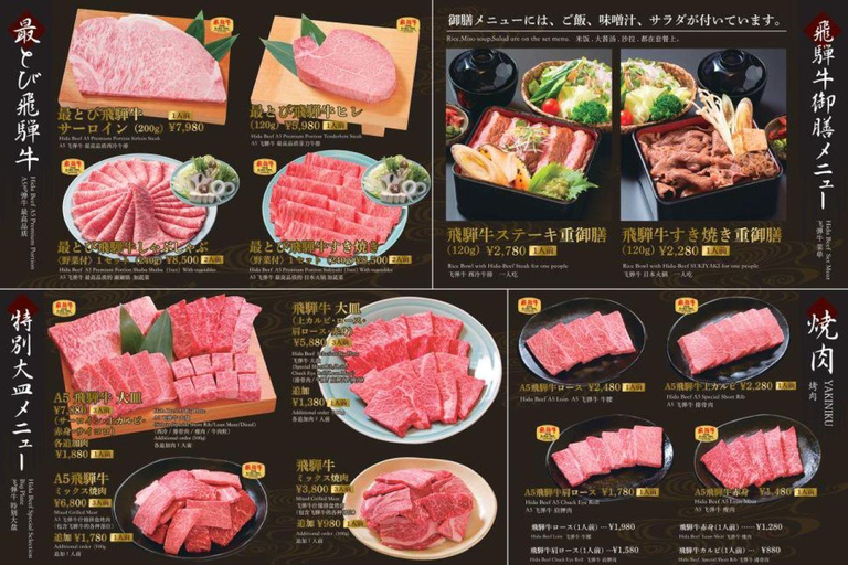 Hida Takayama, Shirakawa-go+Observatory|Day Trip from Nagoya