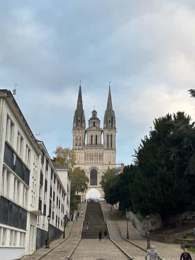 Visita al Castillo de Angers y degustación de vinos