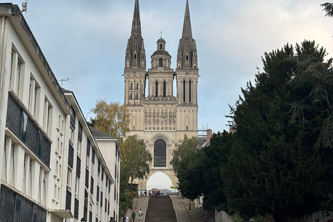 Bezoek aan Château d&#039;Angers en wijnproeverij