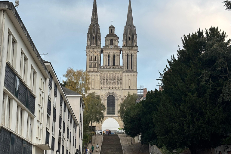 Visita al Castillo de Angers y degustación de vinos