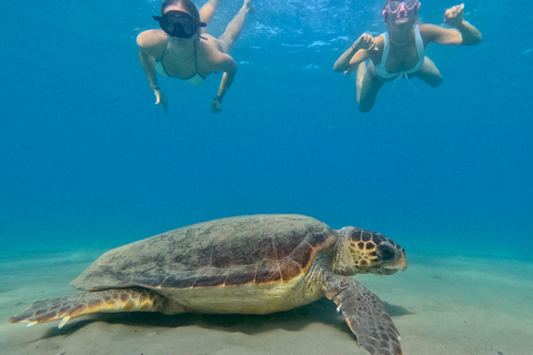 Zakynthos: SUP Tour – Turtle Spotting Adventure