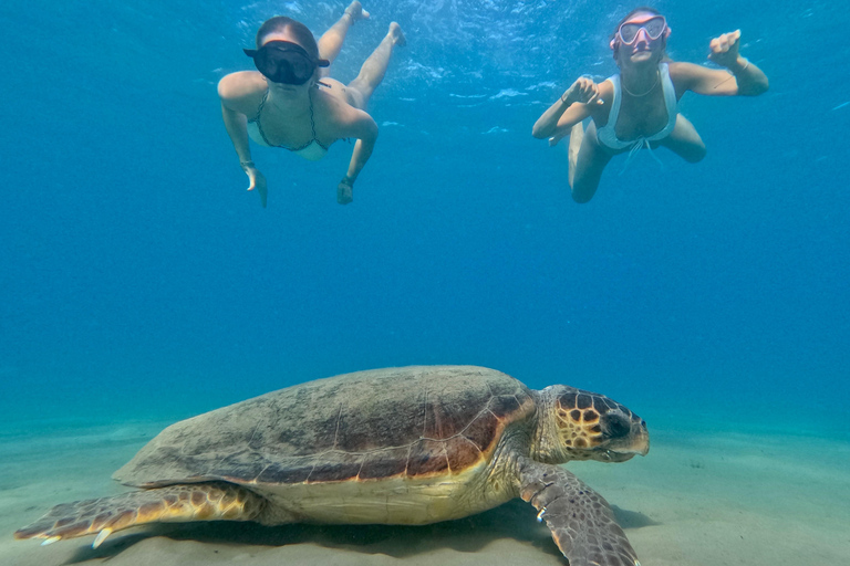 Zakynthos: SUP Tour – Turtle Spotting Adventure