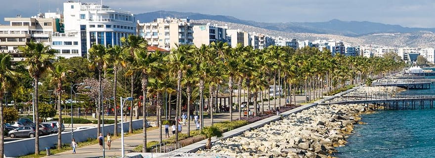 Limassol : Visite guidée privée avec un guide régional