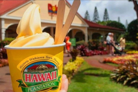 Oahu: Full-Day Tour with Snorkeling, Free Wi-Fi & Free Perks