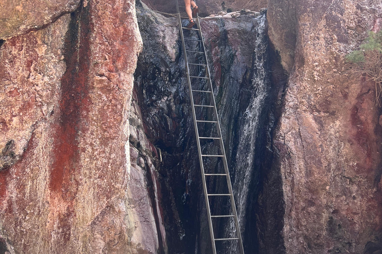 Las Vegas: Arizona Hot Springs Guided Hike with Snacks