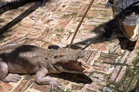 Siem Reap Crocodile Farm Tour With Tuk Tuk Transfer