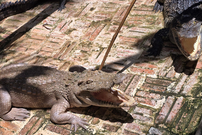 Siem Reap Crocodile Farm Tour With Tuk Tuk Transfer