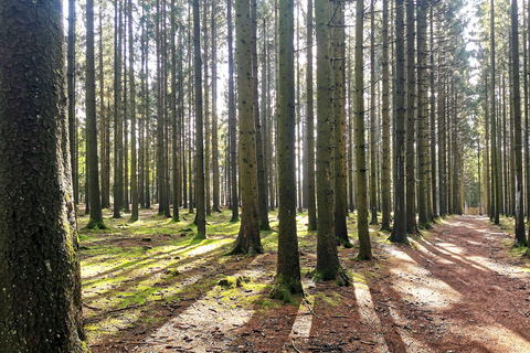 Bastenaken, privérondleiding Slag om de Ardennen