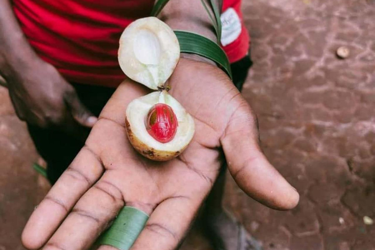 Zanzibar: Jozani Forest, Spice Farm & Stone Town Full-Day. TOUR WITH HOTEL TRANSFER PICKUP AND DROP