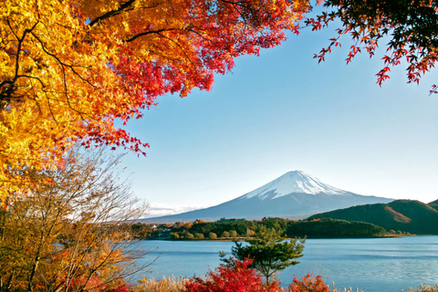 Tokyo, Mt. Fuji, Kyoto, Osaka: 7-Day Private Tour of Japan