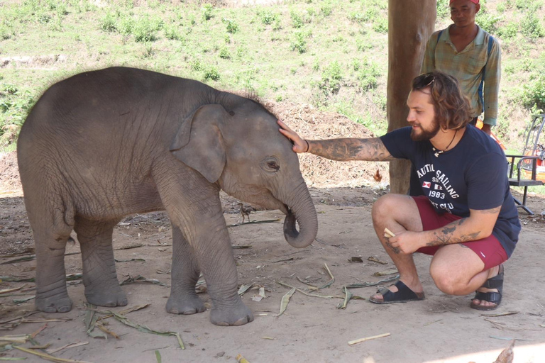 Chiang Mai 2-Day: Good Morning Elephant & Overnight Homestay