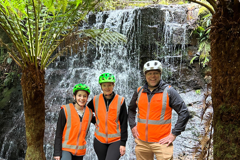 Mt Wellington Rainforest Self Guided Off-Road Bike Adventure