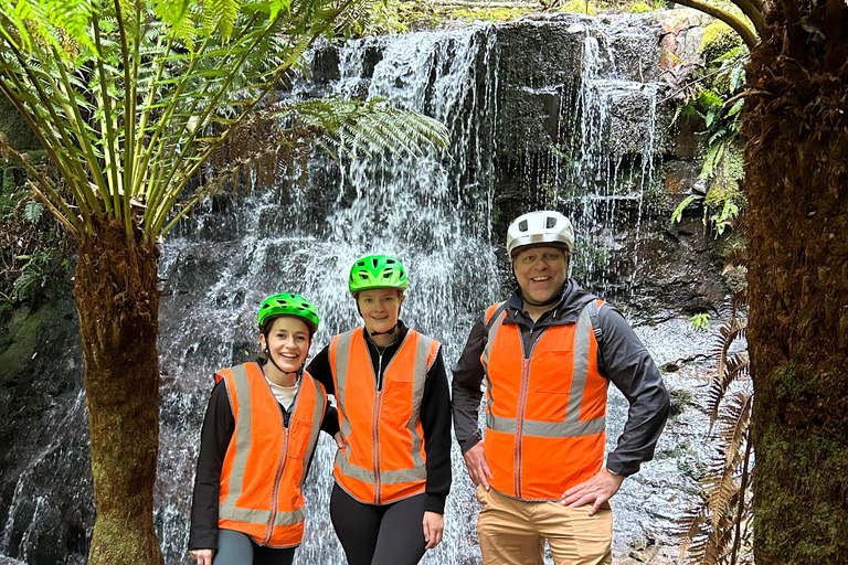 Mt Wellington Rainforest Self Guided Off-Road Bike Adventure