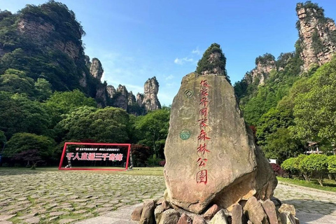 Zhangjiajie: Parque Florestal Nacional + Excursão de um dia à Montanha Tianzi