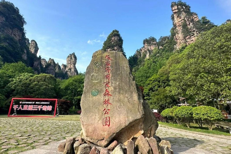 Zhangjiajie: Parque Florestal Nacional + Excursão de um dia à Montanha Tianzi