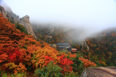 Z Seulu: wycieczka na Mt Seorak i świątynia Naksansa / wyspa NamiWspólna wycieczka Naksansa, spotkanie w Myeongdong