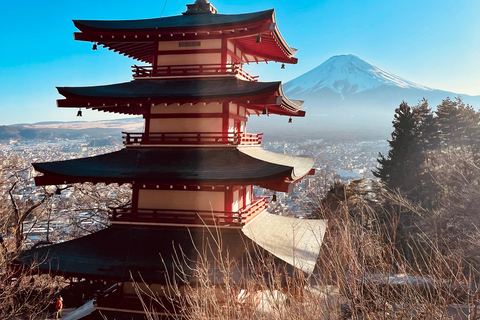 1-Day Mt Fuji Sightseeing trip from Tokyo 1-Day Mt Fuji Sightseeing trip with English Speaking Guide