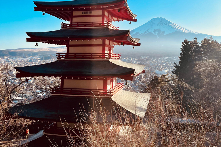 1-Day Mt Fuji Sightseeing trip from Tokyo 1-Day Mt Fuji Sightseeing trip with English Speaking Guide