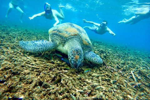 Ko Tao: Vintage Boat-Small Group Snorkeling Day Trip w/Meals