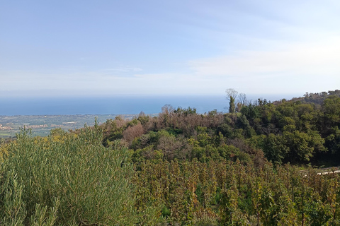 Etna south tour with light trekking wine tasting and lunch