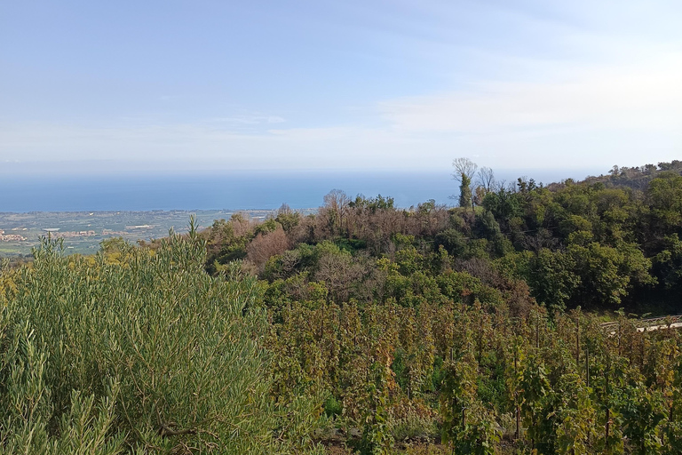 Etna south tour with light trekking wine tasting and lunch