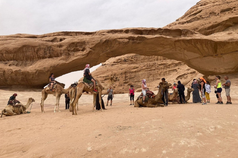 Excursión a Wadi Rum Desde Ammán o el Mar Muerto Día CompletoExcursión a Wadi Rum Desde Ammán / Mar Muerto Día Completo Minibús 10pax