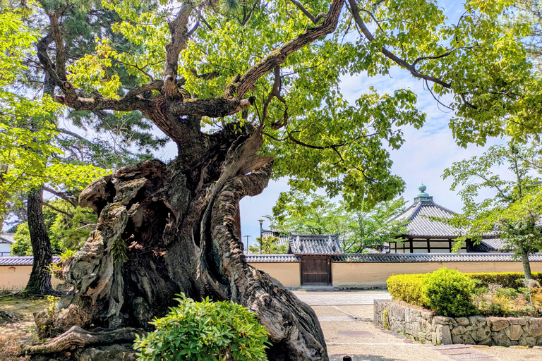 From Osaka: Horyuji Temple and Mount Ikoma Day Tour