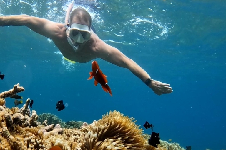 Lombok geheime Gili- en zuidwestelijke snorkeltripLombok geheime gili