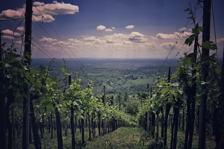 Da Zagabria: Strada del vino di Samobor e Plesivica, privatoAuto 1-4 persone