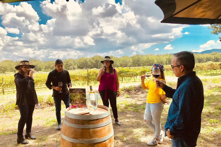 Rondleiding &quot;Parras de la Fuente&quot;, met gids, transfer en tickets